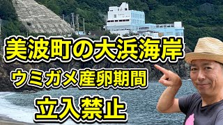 美波町　大浜海岸　ウミガメ産卵期間　立入禁止　最高の景色