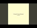 Clouds Forest Breeze