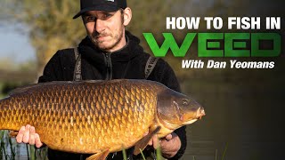 How to Fish in Weed - Carp Fishing with Dan Yeomans