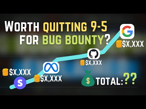 How much money did I earn in the first year with bug bounty? Bounty Vlog No. 4