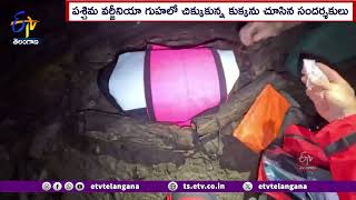 Visitors Rescue a Dog Fell Into a Virginia Cave | వర్జీనియా గుహలో పడిన కుక్కను రక్షించిన సందర్శకులు