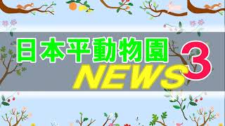 2024年3月上旬市政情報番組