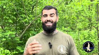 Working Article Searches with Your K9 | SOURCE Short Set
