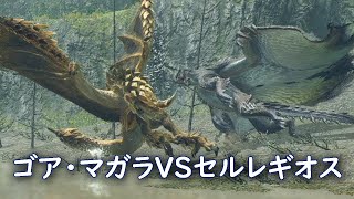 ゴア・マガラVSセルレギオス（縄張り争い）【モンスターハンターライズ：サンブレイク】