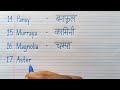 20 flowers name in english and hindi flowers name flower name फूलों के नाम