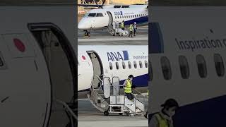 長めの最終確認、からのドアクローズ！ANA WINGS Bombardier DHC-8-402Q Dash 8 大阪国際（伊丹）空港 #Shorts