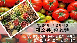 약선본초학-1_각론_제3-2강_야채류 무, 배추, 오이, 동과, 단호박, 수세미, 토마토, 가지, 고추, 얼갈이배추