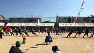 おまけ 可知学区運動会 綱引き決勝