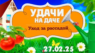 Удачи на даче. Рассада. Как использовать теплицу в зимний период? (27.02.2025)