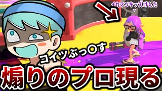 煽りの種類が多すぎる天才煽りイカにブチ切れる男【スプラトゥーン3】