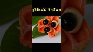 পৃথিবীর সবথেকে অদ্ভুত তিনটি ফল|voutik kahini|#shorts|#youtubeshorts|#funny