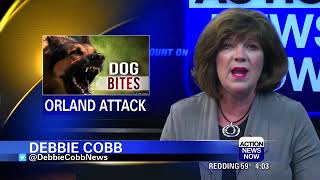 Glenn County Sheriff's Office searching for owner of dog who attacked woman