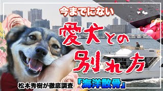 新しい【愛犬の弔い方】自分の手で送る事ができる海洋散骨とは…大切なワンコの為に出来る事…松本秀樹が潜入調査！