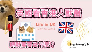 #在英睇獸醫 在英國看香港人獸醫 ～包包睇獸醫記 #寵物移民英國  #英國生活｜懶洋洋公主 Lazy Princess ˘ᴗ ˘)