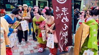 節分祭、八坂神社 舞妓さん🌸👘Maiko Kyoto Gion Japan