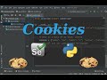 How to set Cookies on selenium with python