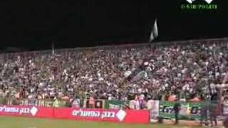 Ultras FC Maccabi Haifa-The Green Apes