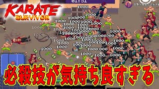 【Karate Survivor】武器より素手のが強い武術家の屋上攻略