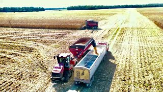 Case IH 9250 Combine Picks a 690 Acre Field of Corn With a 12 row Geringoff Folding Corn Head S3 E30