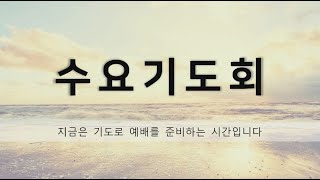 빌립보교회 수요 기도회(2024년 12월 18일) 실황