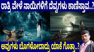 ರಾತ್ರಿ ವೇಳೆ ನಾಯಿಗಳಿಗೆ ದೆವ್ವಗಳು ಕಾಣಿಸ್ತಾವ..? | ಅವುಗಳು ಬೊಗಳೋದಾದ್ರು ಯಾಕೆ ಗೊತ್ತಾ..? | Dog \u0026 Ghost |