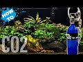 How to set up Aquarium CO2 - Pressurised CO2 set up