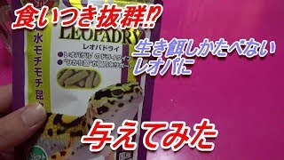 商品レビュー！生き餌しかたべないレオパに与えてみた