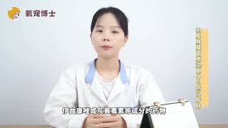 狗狗真菌感染用什麼藥治療效果好？