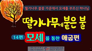 14.떨기나무에 붙은 불/모세를 통한 애굽편/모세에게 나타난 가시나무의 불은  모세에게 사명을 주어 이스라엘 백성을 구하겠다는 구원사적으로 나타나신 하나님의 불꽃이었습니다.