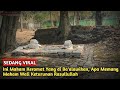 Inilah Makam Cucu Sunan Gunung Jati | Bukan Makam Keramat Yang Di Ba'alawikan