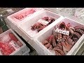 Exploring Japan's Tsukiji Fish Market!