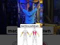 Machine pulldown #hemulifter#reels #shorts #motivation #powerlifting #viral #gym