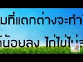 คู่มือการเลี้ยงไก่ไข่สาว ขายไก่พันธุ์ไข่ ขายไก่ไข่สาว ขายลูกไก่ไข่ ขายไก่ไข่ จำหน่ายไก่พันธุ์ไข