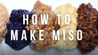 How To Make Your Own Miso Paste