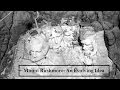 Mount Rushmore- An Evolving Idea