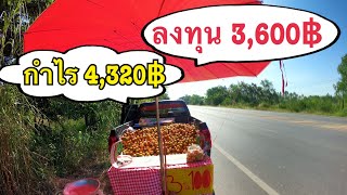 ขายส้มเขียวหวานริมทาง ลงทุน3,600กำไร4,320