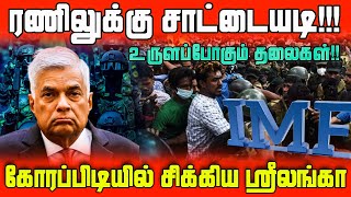 ரணிலுக்கு சாட்டையடி! உருளப்போகும் தலைகள்! கோரப்பிடியில் சிக்கிய ஸ்ரீலங்கா | Nijakkan |SriLanka Today