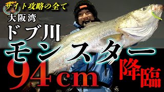 【94cm 超ド級ランカー！】ドブのモンスターシーバスをサイトで攻略！その全てを公開【バイトシーン丸見え】