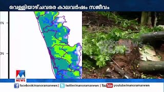 സംസ്ഥാനത്ത്  മൂന്ന് മണിക്കൂറില്‍ ശക്തമായ കാറ്റിനും മഴയ്ക്കും സാധ്യത | Kerala rain