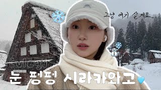 🇯🇵 나고야 혼자 여행 시라카와고 \u0026 다카야마 [3편] l 시라카와고 설경 인생카페 발견❄️ l 당일치기 투어 장단점 l 다카야마 양조장 낮 술 🍶