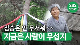 전북, 최고의 오지를 찾아 떠나다♬ ‘산신당에 사는 오지人’ㅣ생방송 투데이(Live Today)ㅣSBS Story