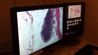 Leeds Virtual Microscope, Version 2