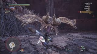 蘋果媽　PS4魔物獵人：世界[新大陸的白風]