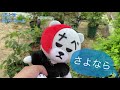 4月上旬薔薇庭🌹✨【憎きバラゾウムシ】蕾をバシっとパトロール😊🐻