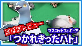 【羽鳥ぽぽぽ】つかれきったハト(ガシャポン)を鳩がレビュー！【第206羽】