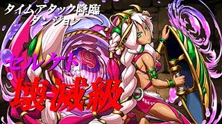 【パズドラ】セルケト壊滅級【制限時間2分】水ノエル出現、タイムアタック降臨ダンジョン