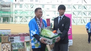 明秀日立高サッカー部に県産野菜500キロ寄贈