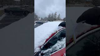 పుచ్చకాయ పనులు Part 2 || Telugu funny (Clearing My Car After A Blizzard Successfully)