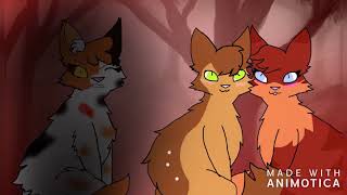 Mapleshade Dixie Boy (short)