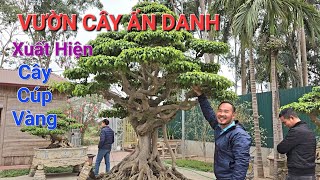 KHÁM PHÁ vườn cây ẨN DANH lần đầu LÊN SÓNG - XUẤT HIỆN CÂY ĐỘC LẠ NV anh PHÚ - Thường Tín - Hà Nội .